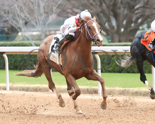 G W’s Girl - The Mockingbird Stakes 01-04-25 R07 Op Finish 02 Oaklawn Park