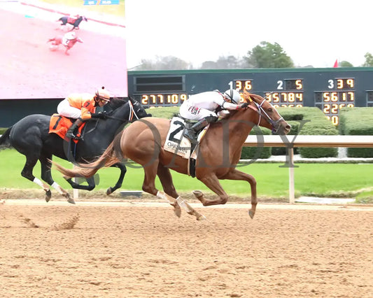 G W’s Girl - The Mockingbird Stakes 01-04-25 R07 Op Finish 01 Oaklawn Park