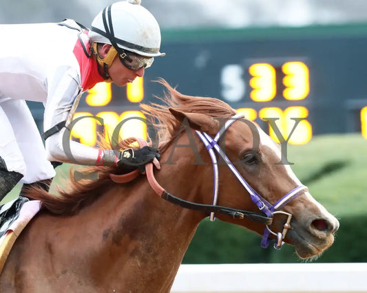 G W’s Girl - The Mockingbird Stakes 01-04-25 R07 Op Gallop Out 01 Oaklawn Park
