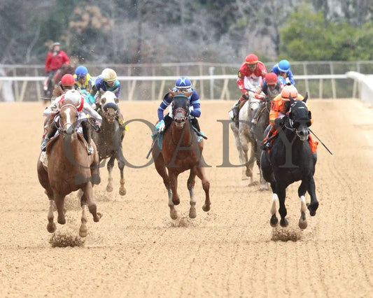 G W’s Girl - The Mockingbird Stakes 01-04-25 R07 Op Head On 01 Oaklawn Park