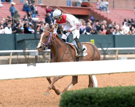 G W’s Girl - The Mockingbird Stakes 01-04-25 R07 Op Inside Finish 02 Oaklawn Park