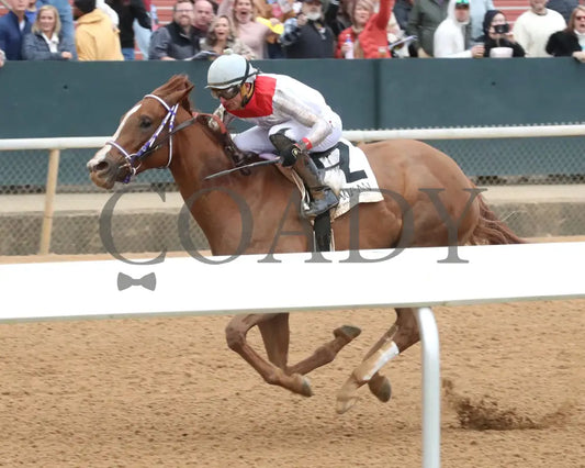 G W’s Girl - The Mockingbird Stakes 01-04-25 R07 Op Inside Finish 01 Oaklawn Park