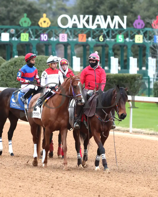G W’s Girl - The Mockingbird Stakes 01-04-25 R07 Op Post Parade 02 Oaklawn Park