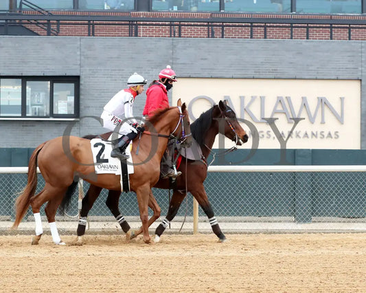 G W’s Girl - The Mockingbird Stakes 01-04-25 R07 Op Post Parade 01 Oaklawn Park
