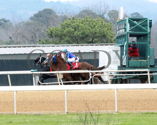 G W'S GIRL - The Mockingbird Stakes - 01-04-25 - R07 - OP - Start 01 - Coady Media - Kurtis Coady Photography