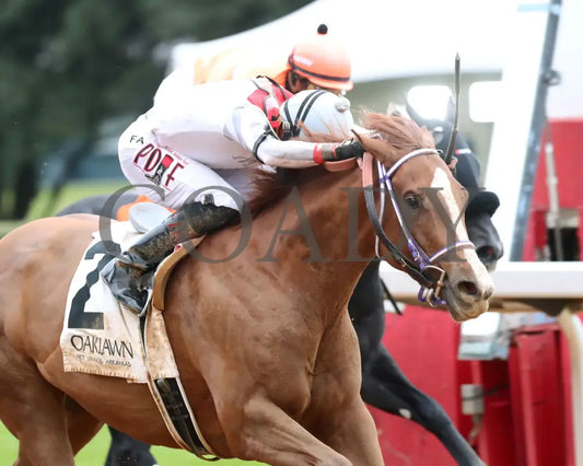 G W’s Girl - The Mockingbird Stakes 01-04-25 R07 Op Tight Finish 01 Oaklawn Park