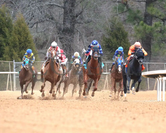 G W’s Girl - The Mockingbird Stakes 01-04-25 R07 Op Turn 01 Oaklawn Park