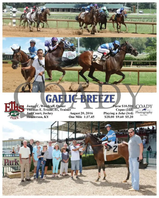 Gaelic Breeze - 082016 Race 02 Elp Ellis Park