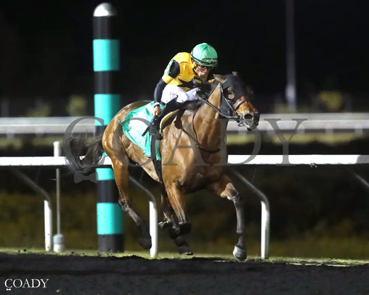 GAL IN A RUSH - The Presque Isle Downs Masters Stakes - G2 - 09-19-25 - R09 - PID - Finish 02 - Coady Media - Kurtis Coady Photography