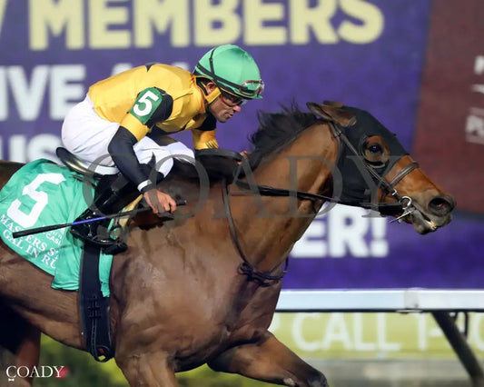 GAL IN A RUSH - The Presque Isle Downs Masters Stakes - G2 - 09-19-25 - R09 - PID - Finish 03 - Coady Media - Kurtis Coady Photography