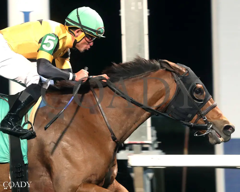 GAL IN A RUSH - The Presque Isle Downs Masters Stakes - G2 - 09-19-25 - R09 - PID - Finish 04 - Coady Media - Kurtis Coady Photography