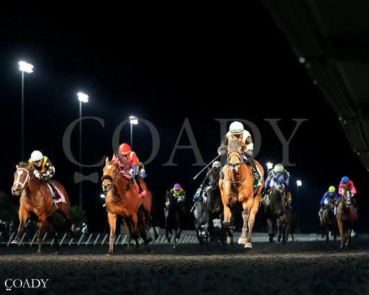 GAL IN A RUSH - The Presque Isle Downs Masters Stakes - G2 - 09-19-25 - R09 - PID - Under Rail 01 - Coady Media - Kurtis Coady Photography