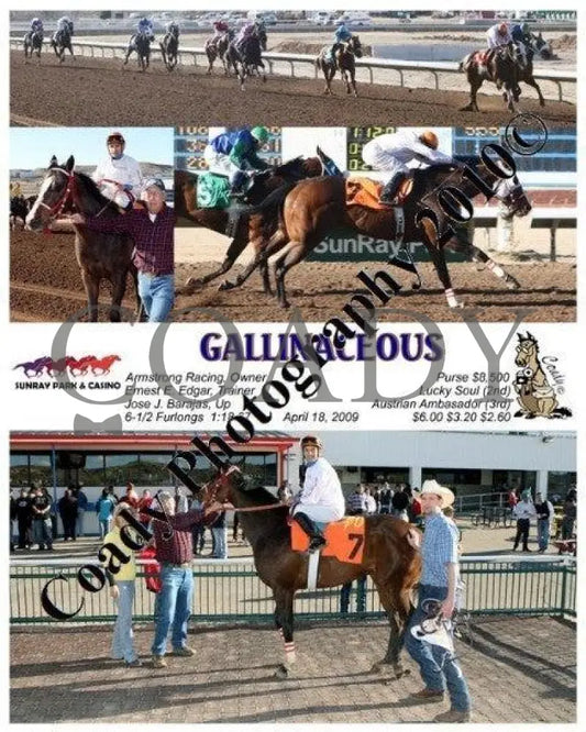 Gallinaceous - 4 18 2009 Sunray Park