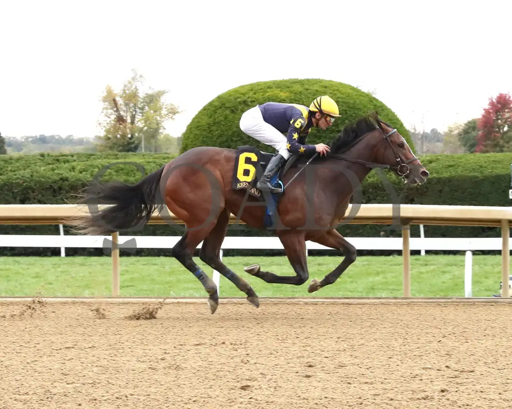 GALLIVANT - 102525 - Race 06 - KEE - Finish 01 Keeneland
