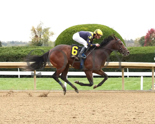 GALLIVANT - 102525 - Race 06 - KEE - Finish 01 Keeneland