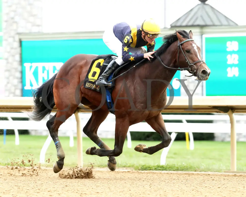 GALLIVANT - 102525 - Race 06 - KEE - Finish 02 Keeneland