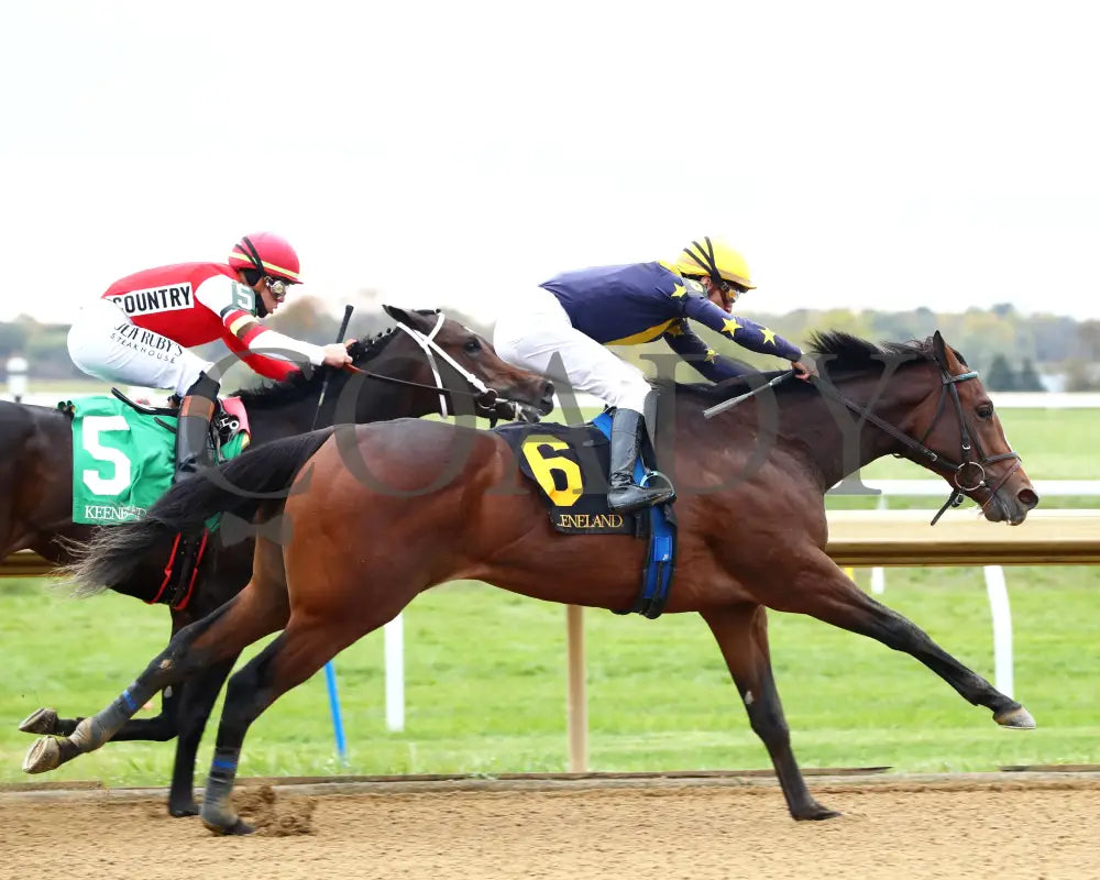 GALLIVANT - 102525 - Race 06 - KEE - Stretch 01 Keeneland
