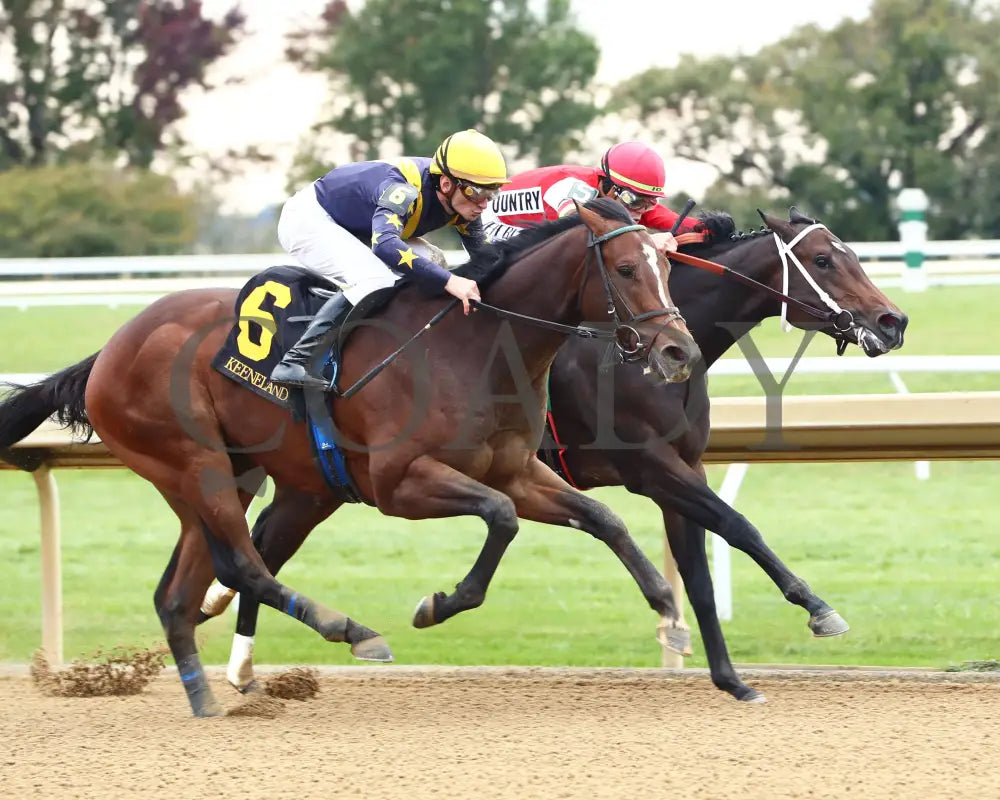 GALLIVANT - 102525 - Race 06 - KEE - Stretch 02 Keeneland