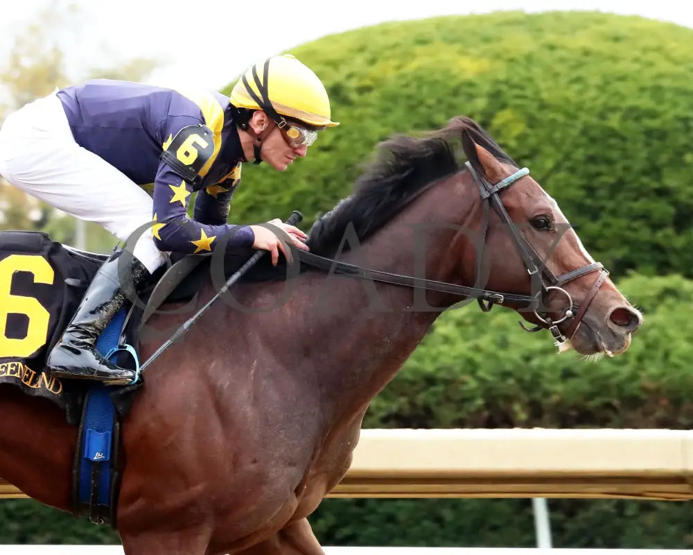 GALLIVANT - 102525 - Race 06 - KEE - Tight Finish 01 Keeneland
