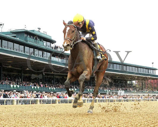 GALLIVANT - 102525 - Race 06 - KEE - Under Rail 01 Keeneland