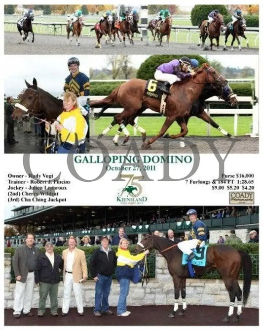 Galloping Domino - 102711 Keeneland