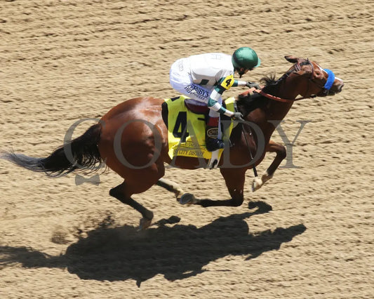 Gamine - The Derby City Distaff G1 35Th Running 05-01-21 R07 Cd Aerial Finish 01 Churchill Downs