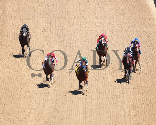 Gamine - The Derby City Distaff G1 35Th Running 05-01-21 R07 Cd Aerial Head On 01 Churchill Downs