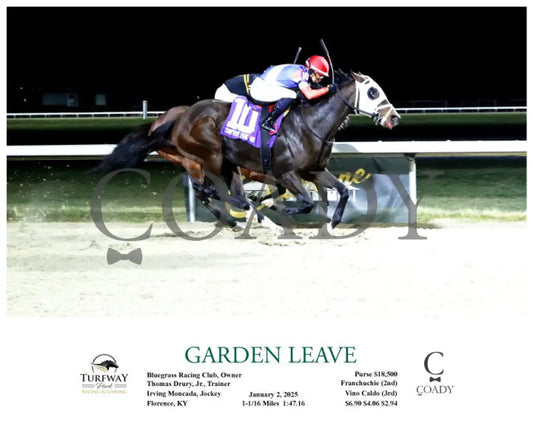 Garden Leave - 01-02-25 R07 Tp -Action Turfway Park