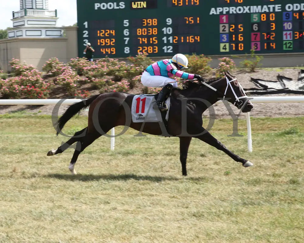 Generous Lover - 071924 Race 08 Btp The Vivacious Stakes Finish 01 Belterra Park