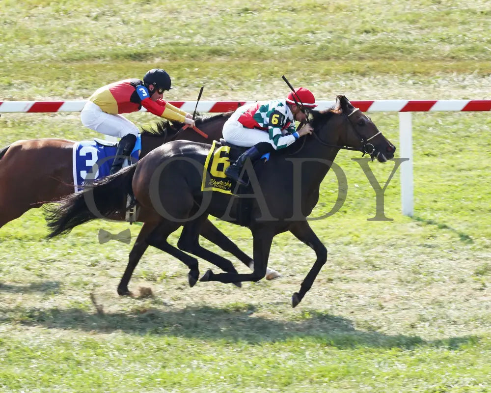 Gentle Ruler - Ramsey Farm Stakes 8Th Running 09-12-19 R08 Kd Aerial Finish 01 Kentucky Downs