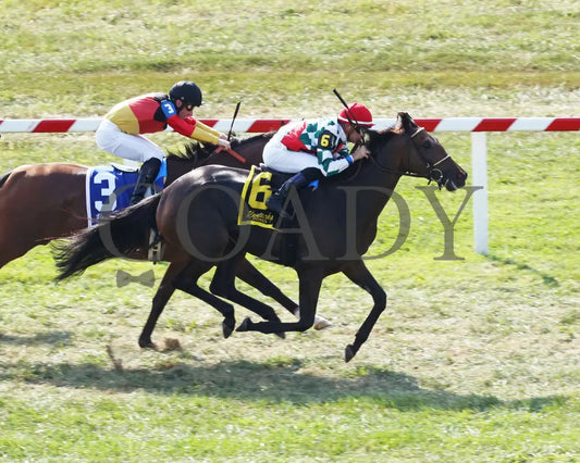 Gentle Ruler - Ramsey Farm Stakes 8Th Running 09-12-19 R08 Kd Aerial Finish 01 Kentucky Downs