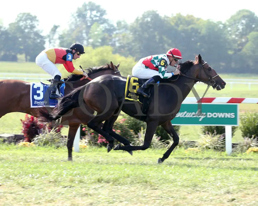 Gentle Ruler - Ramsey Farm Stakes 8Th Running 09-12-19 R08 Kd Finish 01 Kentucky Downs