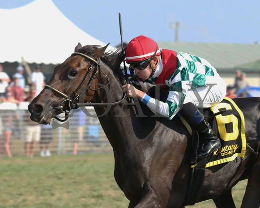 Gentle Ruler - Ramsey Farm Stakes 8Th Running 09-12-19 R08 Kd Inside Finish 01 Kentucky Downs