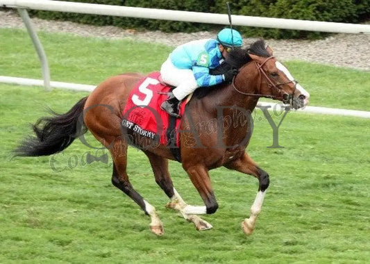 Get Stormy - Aerial The Maker’s Mark Mile Gr 1 Keeneland