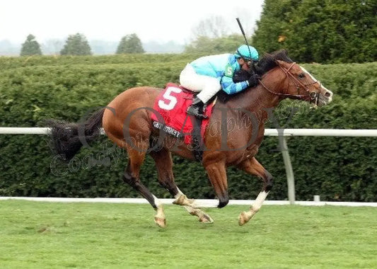 Get Stormy - Finish The Maker’s Mark Mile Gr 1 Keeneland