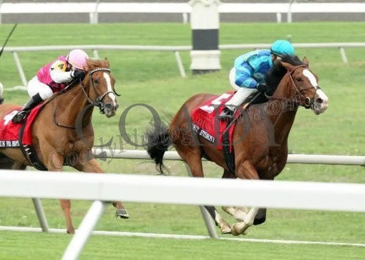 Get Stormy - Stretch The Maker’s Mark Mile Gr 1 Keeneland