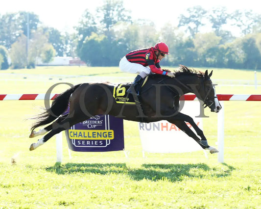 Get Western - The Old Friends Stakes 5Th Running 09-05-19 R09 Kd Finish 01 Kentucky Downs