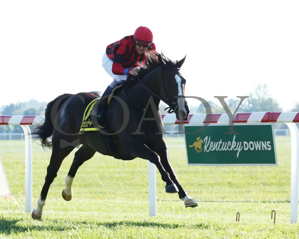 Get Western - The Old Friends Stakes 5Th Running 09-05-19 R09 Kd Finish 02 Kentucky Downs