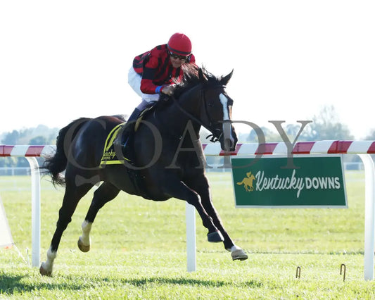 Get Western - The Old Friends Stakes 5Th Running 09-05-19 R09 Kd Finish 02 Kentucky Downs