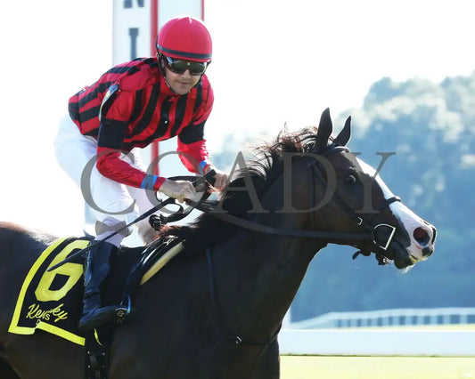 Get Western - The Old Friends Stakes 5Th Running 09-05-19 R09 Kd Finish 03 Kentucky Downs