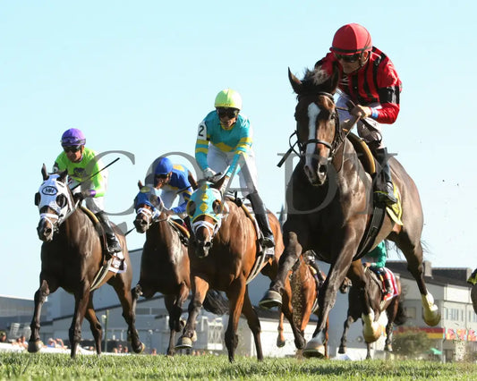 Get Western - The Old Friends Stakes 5Th Running 09-05-19 R09 Kd Under Rail 01 Kentucky Downs