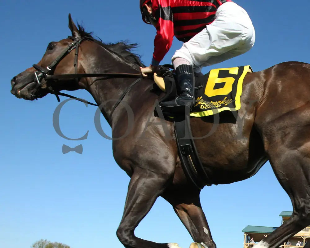 Get Western - The Old Friends Stakes 5Th Running 09-05-19 R09 Kd Under Rail 02 Kentucky Downs