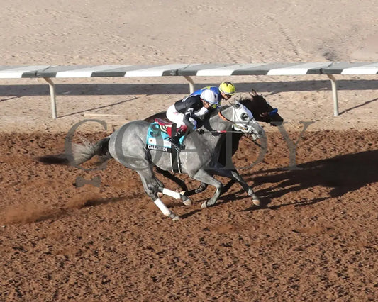 GETAWAY CAR - Sunland Derby - 20th Running - 02-16-25 - R09 - Sunland Park - Aerial 2 Sunland Park