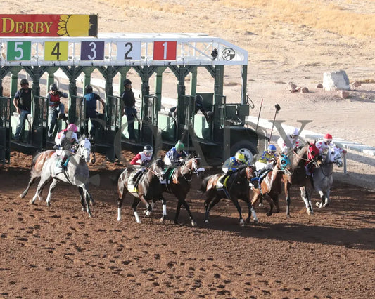 GETAWAY CAR - Sunland Derby - 20th Running - 02-16-25 - R09 - Sunland Park - Aerial Start Sunland Park