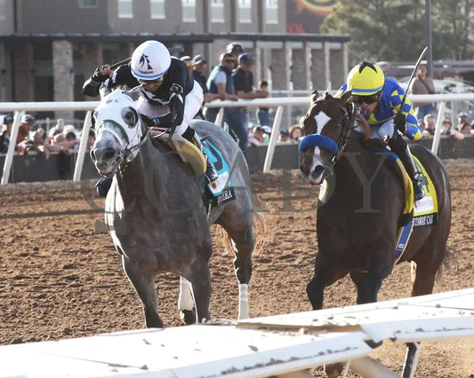 GETAWAY CAR - Sunland Derby - 20th Running - 02-16-25 - R09 - Sunland Park - Inside Finish Sunland Park
