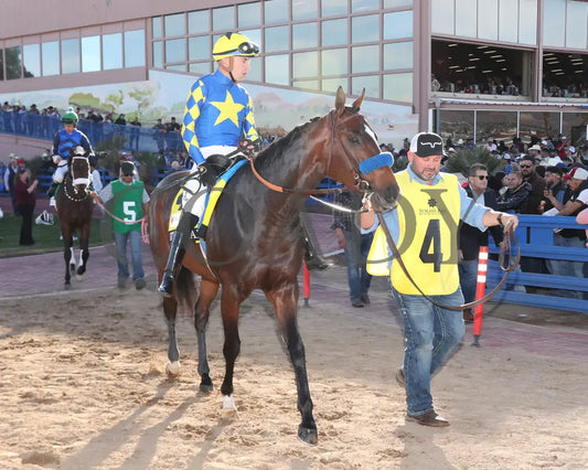 GETAWAY CAR - Sunland Derby - 20th Running - 02-16-25 - R09 - Sunland Park - Paddock Sunland Park
