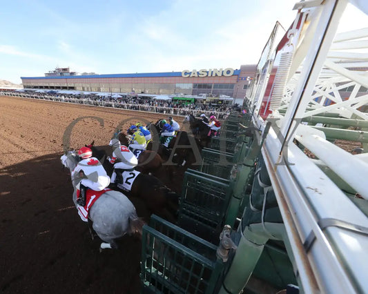 GETAWAY CAR - Sunland Derby - 20th Running - 02-16-25 - R09 - Sunland Park - Return Shot (Copy) Sunland Park