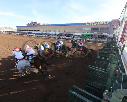 GETAWAY CAR - Sunland Derby - 20th Running - 02-16-25 - R09 - Sunland Park - Starting Gate 3 Sunland Park