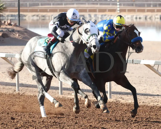 GETAWAY CAR - Sunland Derby - 20th Running - 02-16-25 - R09 - Sunland Park - Stretch Sunland Park