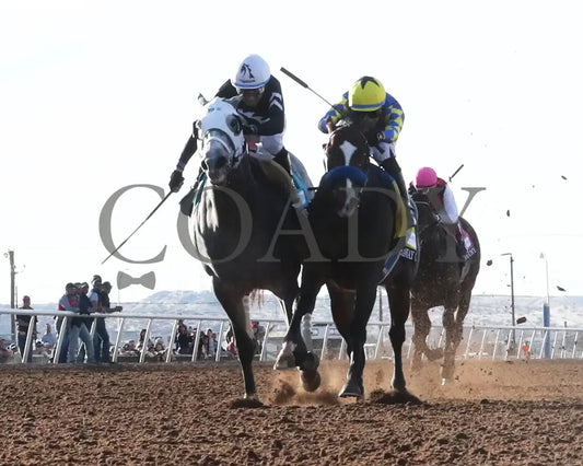 GETAWAY CAR - Sunland Derby - 20th Running - 02-16-25 - R09 - Sunland Park - Under Rail Sunland Park